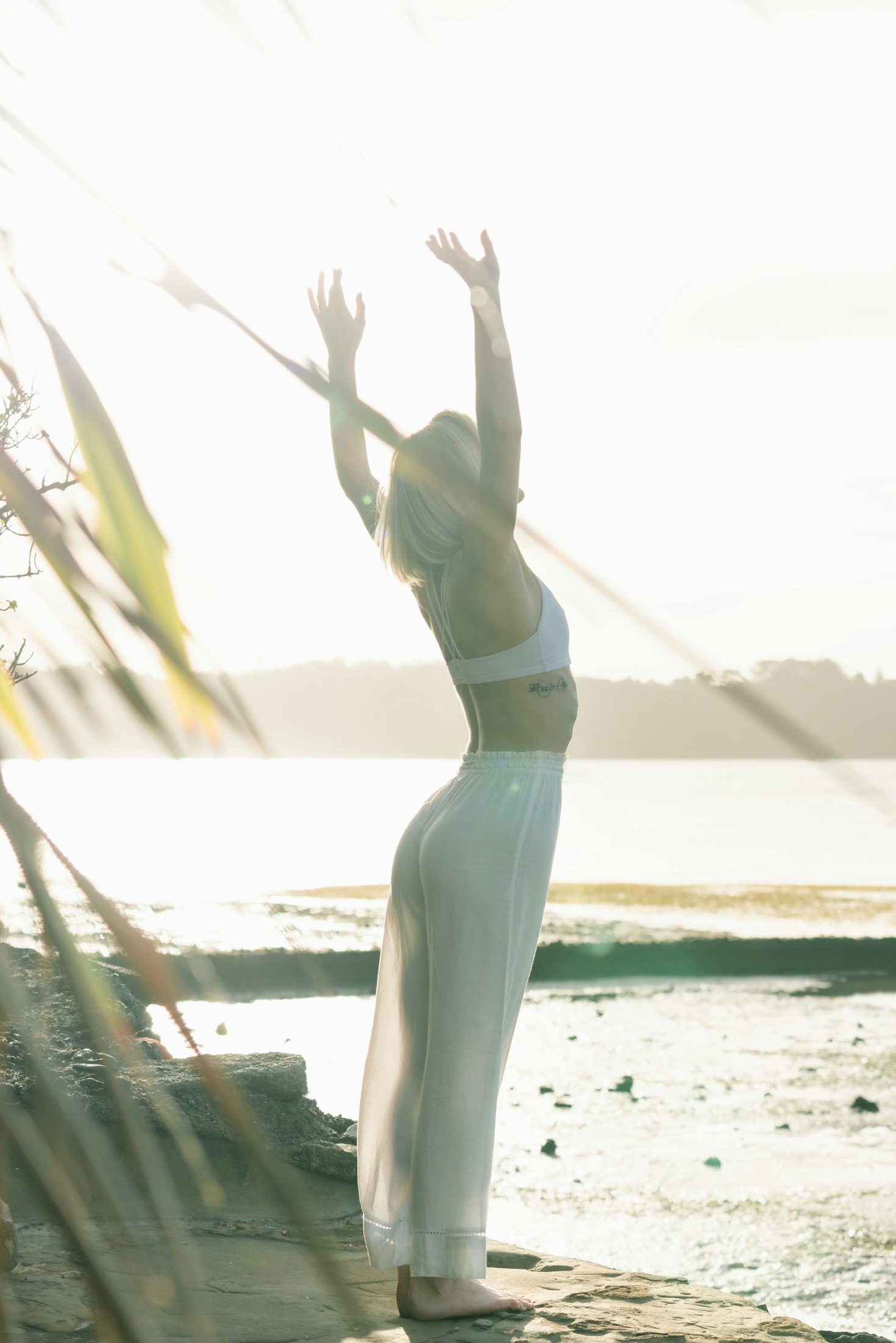 How Meditation Supports Physical and Emotional Health
